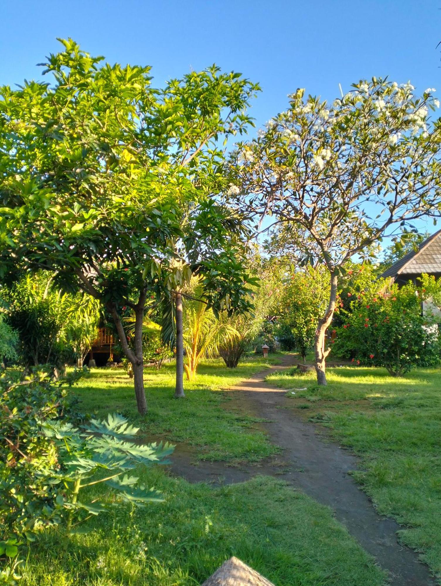 Tangga Bungalows Gili Air Pokoj fotografie